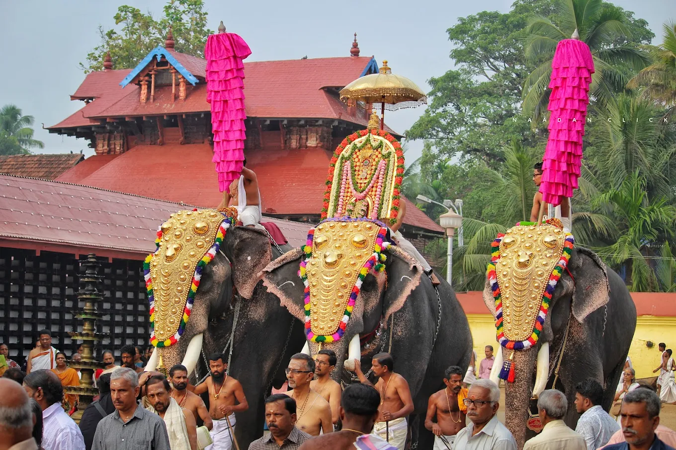 Sree Poornathrayeesa Temple Thrippunithura